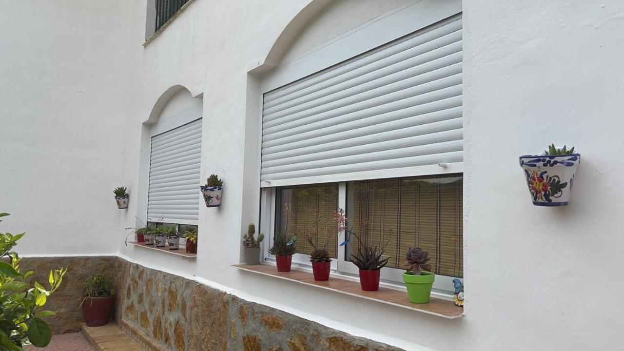 Villa Irene Gandia Zewnętrze zdjęcie